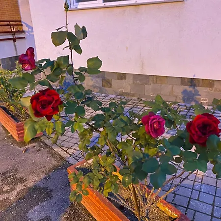 Appartement Zabazaba *