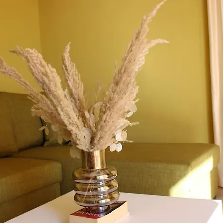 Zabazaba Apartment Tirana