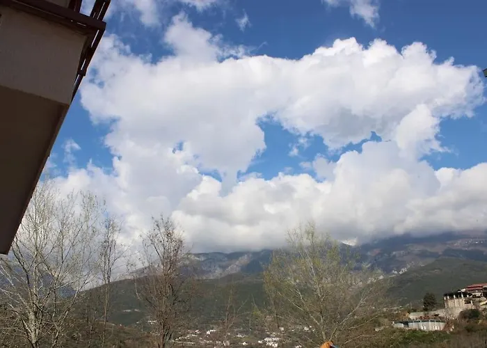 Zabazaba Lejlighed *